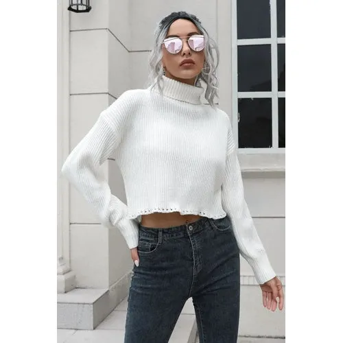 'Anouk' Turtleneck Cropped Sweater