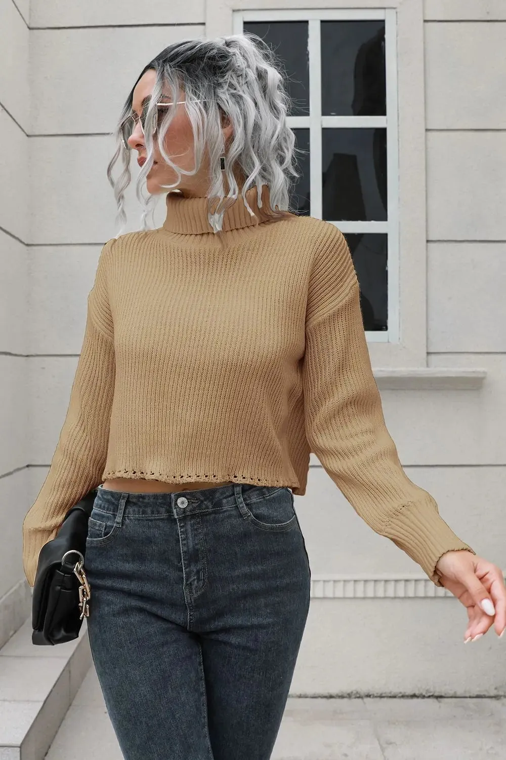 'Anouk' Turtleneck Cropped Sweater