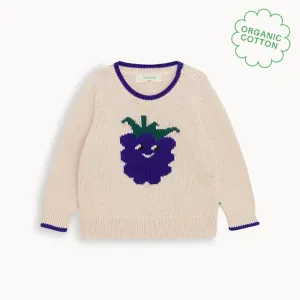 Ellis - Oatmeal Blackberry Knit Sweater