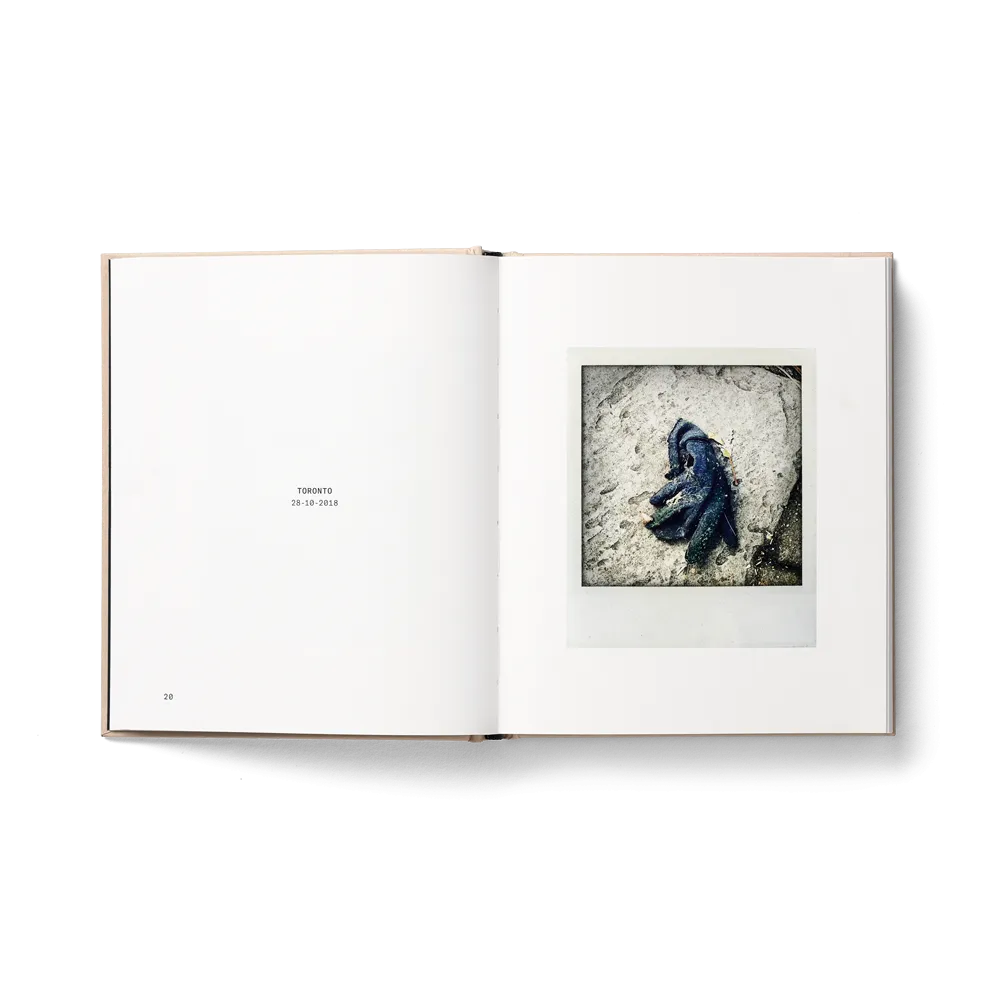 Melancholy - The Little Book Of Lost Gloves