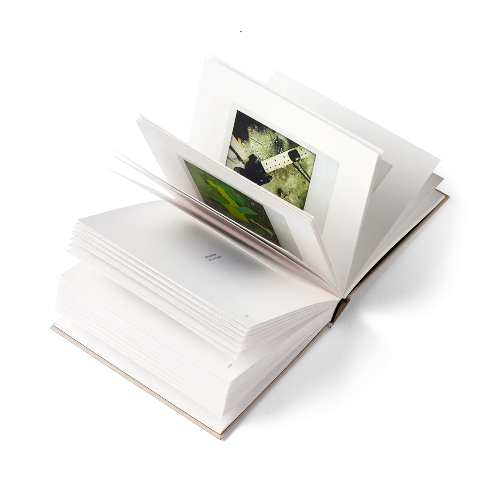 Melancholy - The Little Book Of Lost Gloves