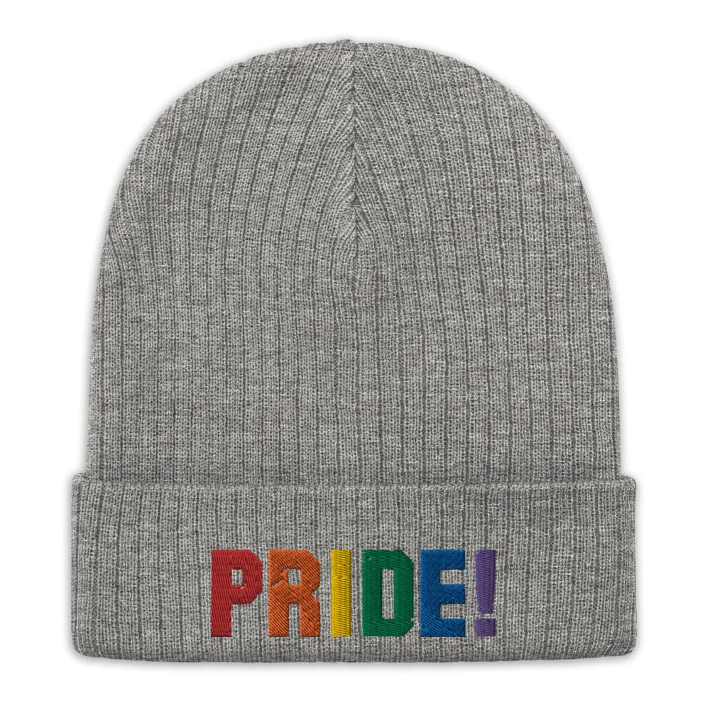 Pride Recycled cuffed beanie