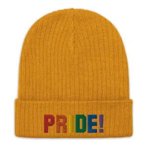 Pride Recycled cuffed beanie