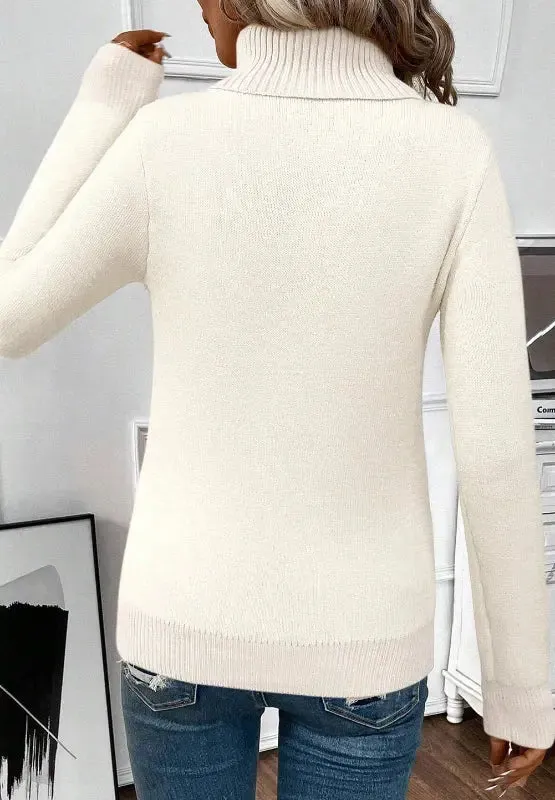 'Romilda' Turtleneck Knit Sweater