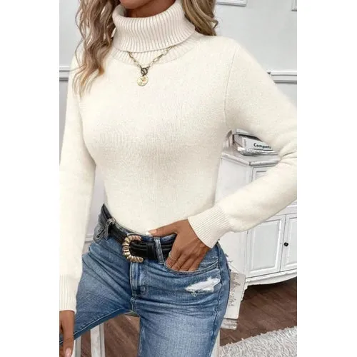 'Romilda' Turtleneck Knit Sweater