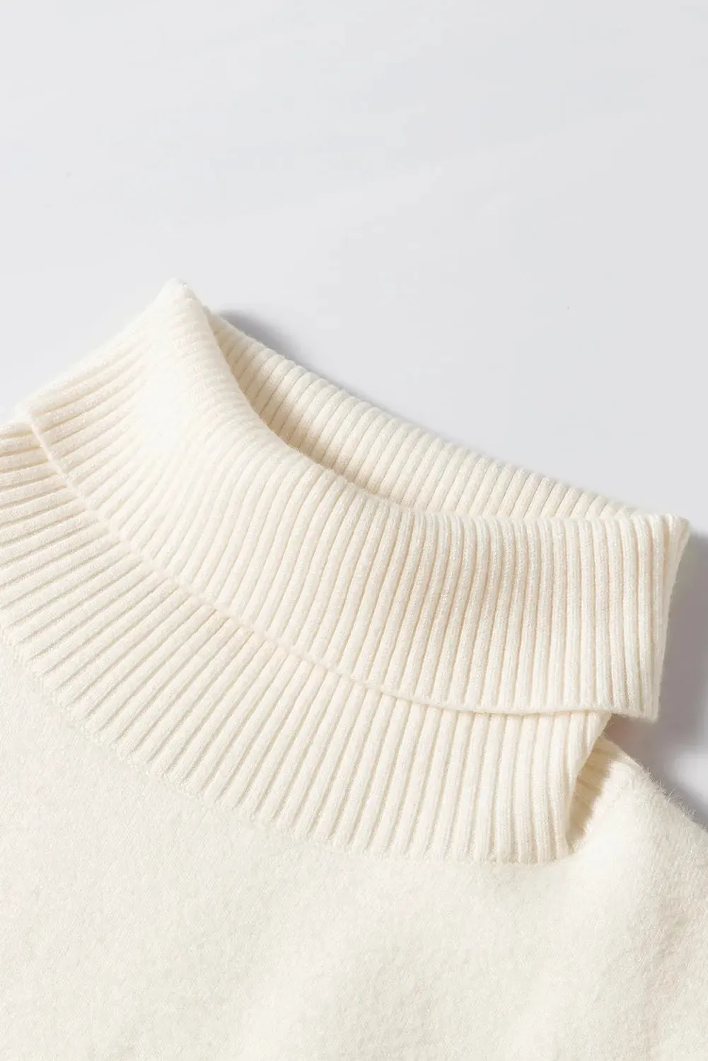 'Romilda' Turtleneck Knit Sweater